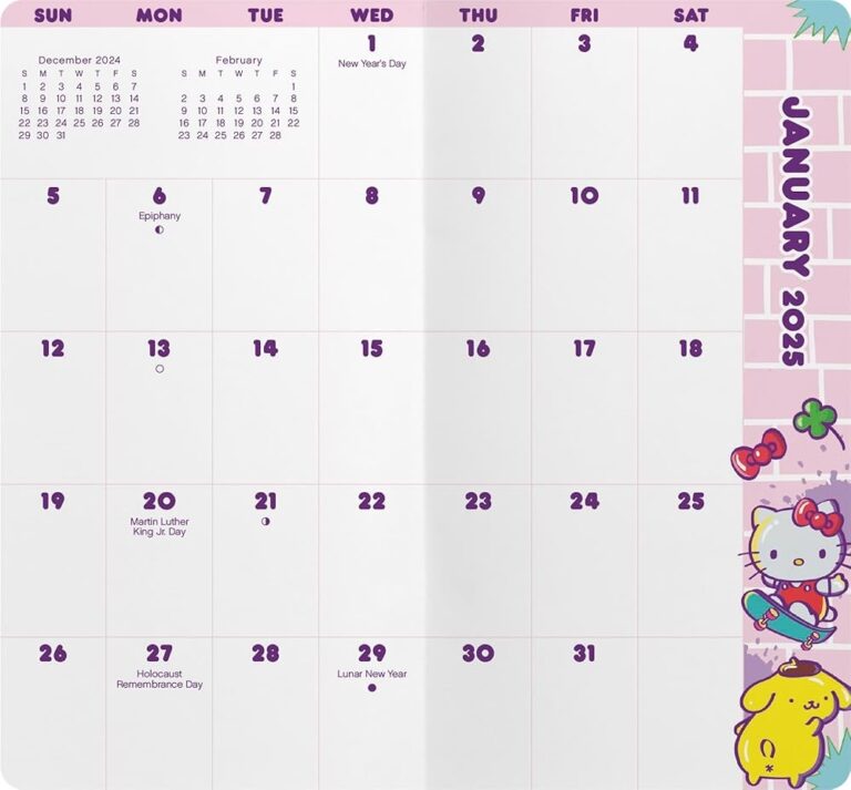 Amazon 2025 2026 Hello Kitty Pocket Planner 9798888280294 Trends International Books