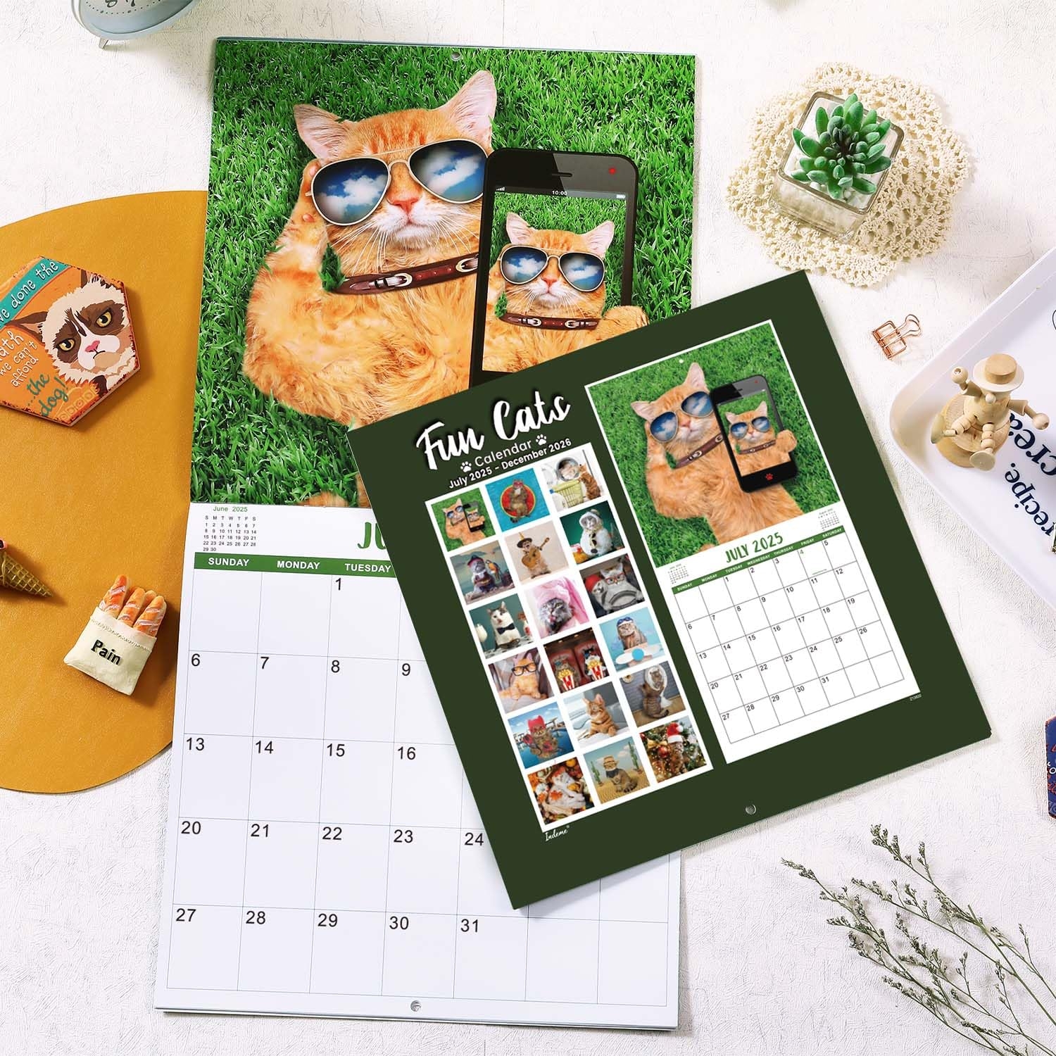June 2025 Calendar Cats