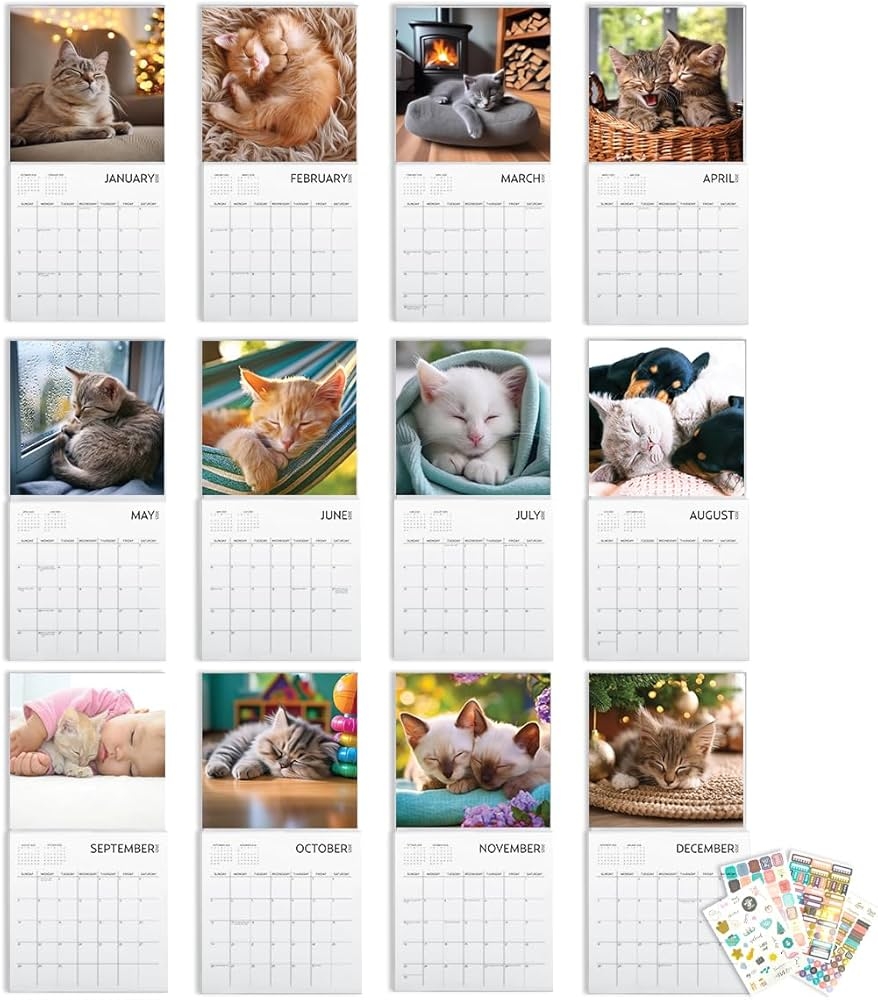 Amazon Cat Calendar 2025 With Sticker Pack Kitten Square Large Wall Calendar 12 X 12 Inch Yearly Cat Lover s Calendar And Sticker Set Office 