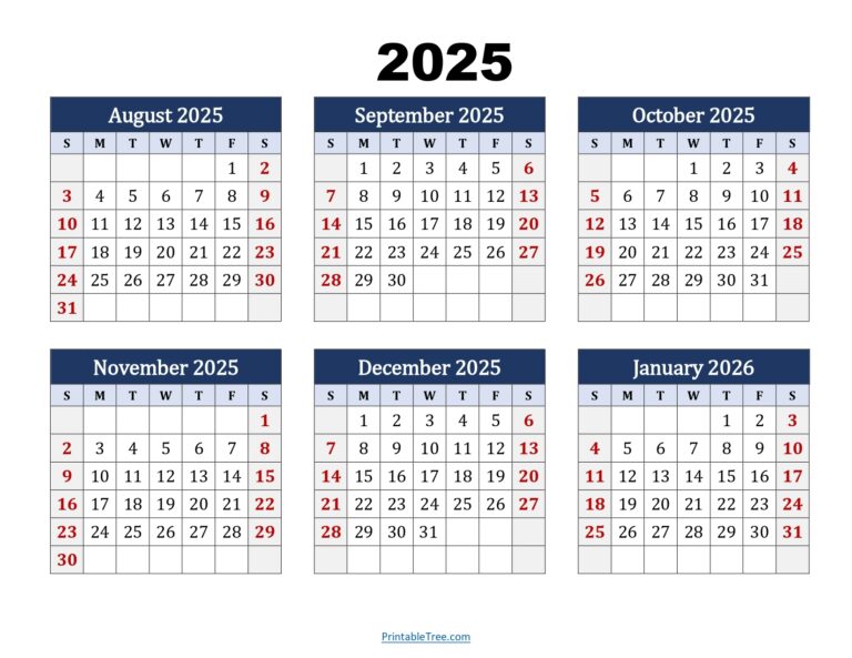 August To January 2026 Calendar Printable PDF Six Months Calendar