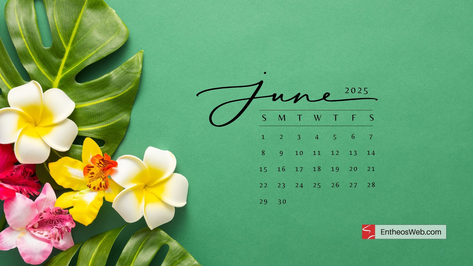 June 2025 Desktop Calendar Background