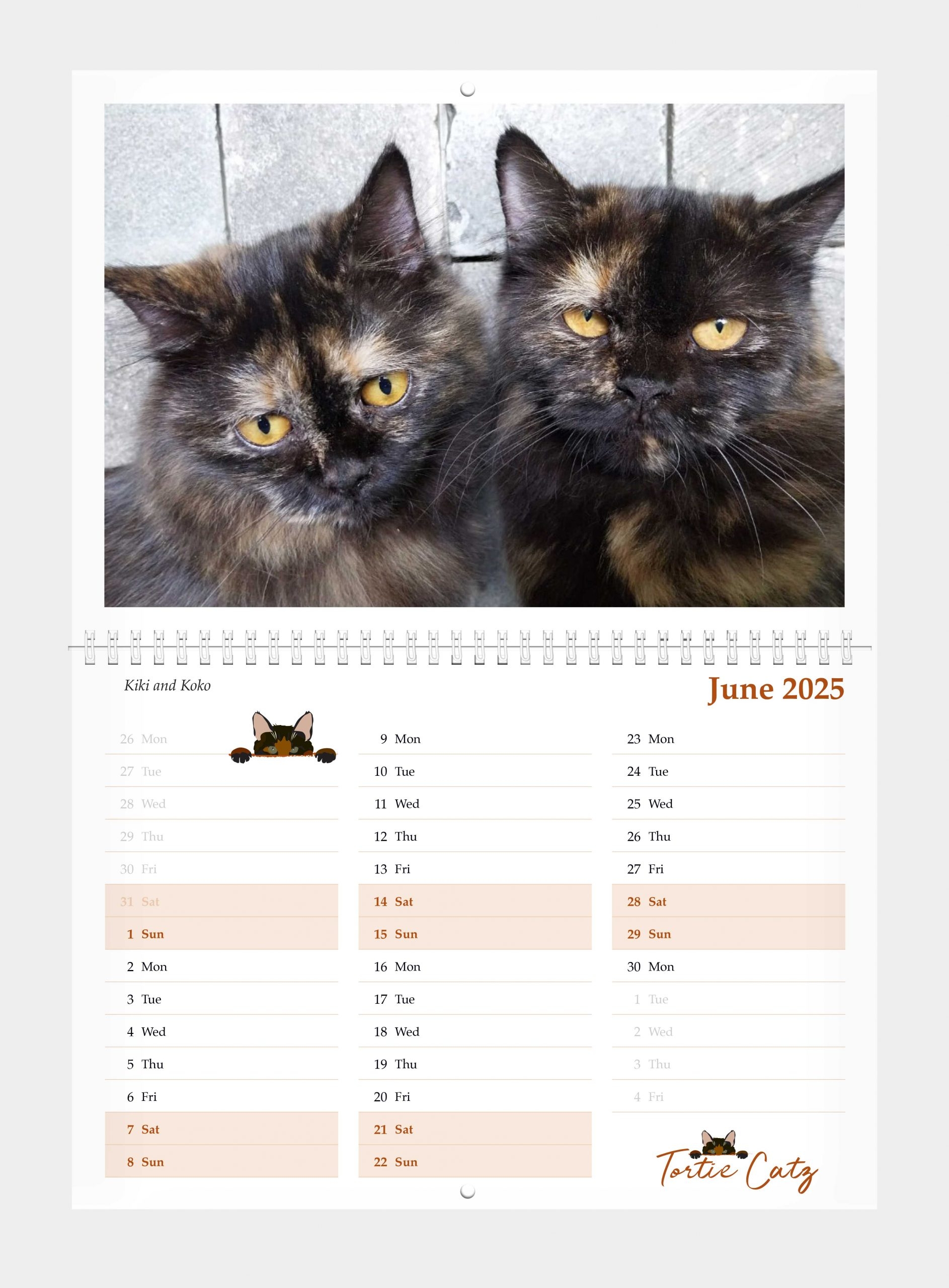 Tortoiseshell Cats Calendar 2025